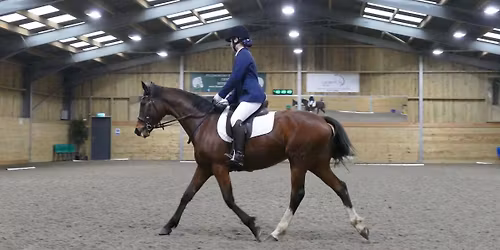 Unaffiliated Dressage with Guest Judge Mat Baker