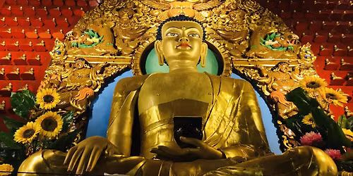 Cours De M\u00e9ditation Sur Comprendre Nos \u00c9motions ( Automne 2025 )