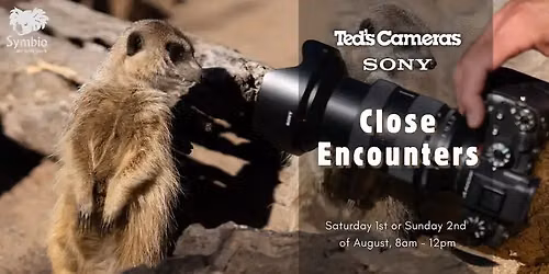 Close Encounters