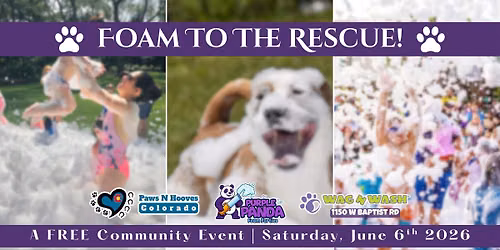 Foam Party with Purple Panda and Petting Zoo