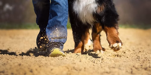 Perfect Heelwork meets Rally Obedience