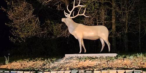 Live Benefit Auction and Fall Kickoff In Honor of Ashlie