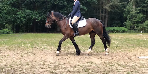 ***PRIX CAPRILLI*** FREE ENTRY FOR ALL !!!!