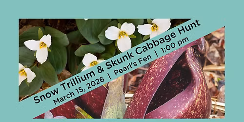 Snow Trillium and Skunk Cabbage Hunt with Dave Nolin