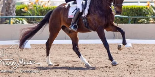 Mette Rosencrantz Clinic