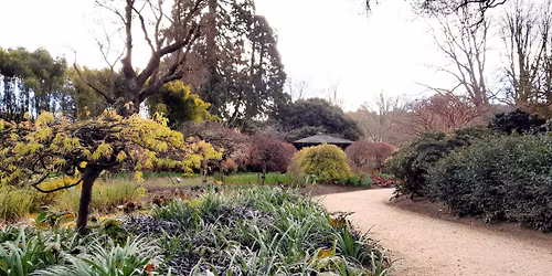 Curator Tour - Winter Garden and Lister Garden