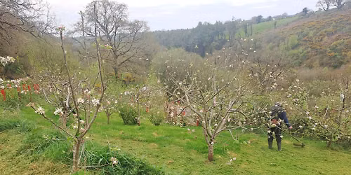 Future Orchard Workshop on Apple Thinning