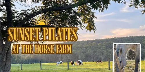 Sunset Pilates at the Horse Farm | Blissful Existence Healing Acres