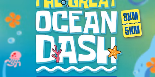 The Great Ocean Dash