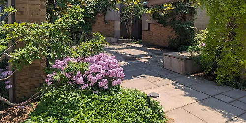 Carroll Hall Open Garden