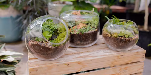 Terrarium Class at Bath Garden Center