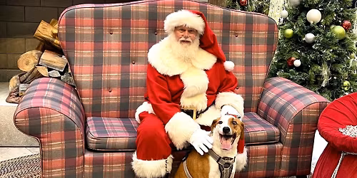 Pet Photos with Santa
