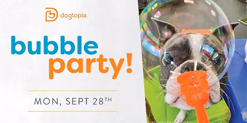 Bubble Party!