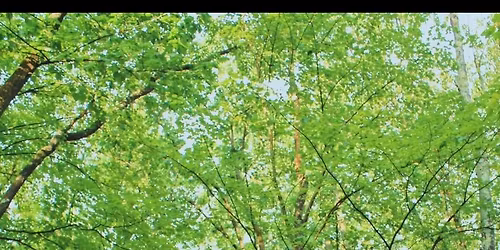 Thanksgiving Eve, with Vales End! 