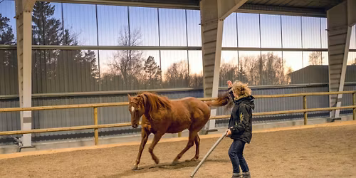 Öppen träning - Sirius