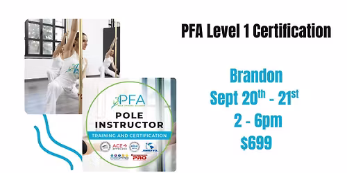 Pole Fitness Alliance Level 1 Certification