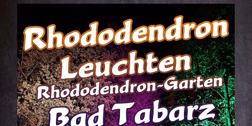 Rhododendron Leuchten 2025
