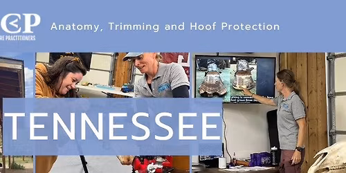 Anatomy, Trimming and Hoof Protection \u2013 Tennessee