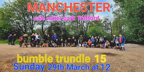 Manchester bumble trundle 15