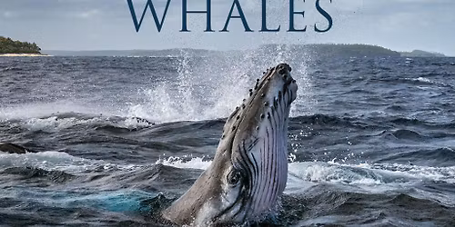 National Geographic Live in Concert - Secrets of the Whales
