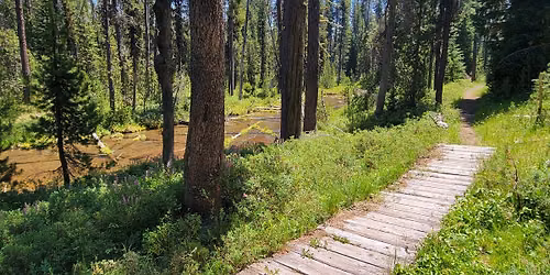 Hike: Silent Creek