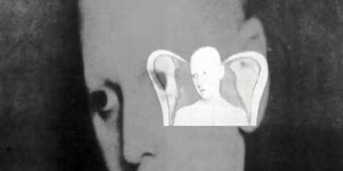 Lover Other film screening