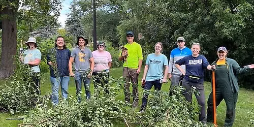 Help Remove Buckthorn at LaBelle Park