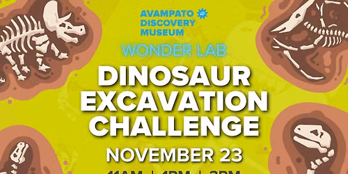 Wonder Lab: Dinosaur Excavation Challenge