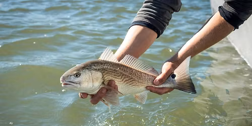Middle School: Marine Fisheries