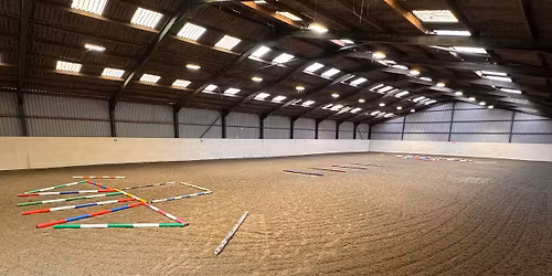 Pole Clinic with Lisa Richardson