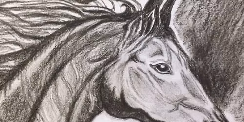 Charcoal Creations\/Tonal Art \u00a318 Garstang