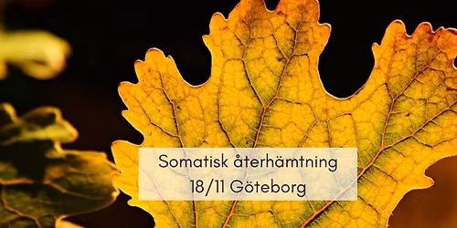 Somatisk \u00e5terh\u00e4mtning