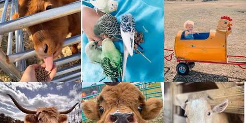 Family Farm Day \ud83d\udc37\ud83c\udf38\ud83d\udc34\ud83d\udc10\ud83c\udf3b