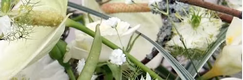 Coronation Calamities floral demonstration