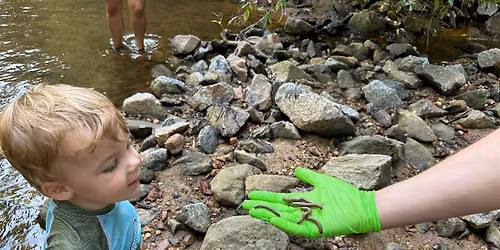 Family Creek Stomp