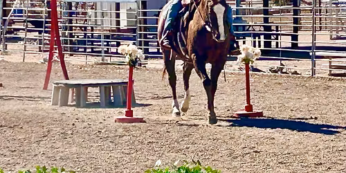 Obstacle Clinic & Challenge Weekend