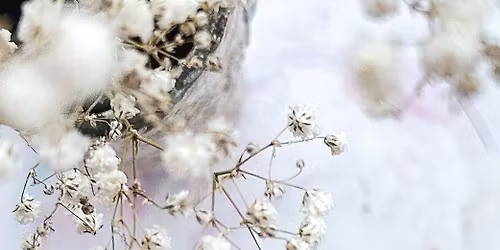 Circle of Creativity