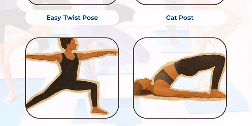 Beginners yoga with Albany Yoga Room