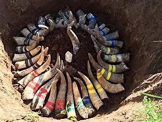 Biodynamic Fall Prep Intensive 2 Day