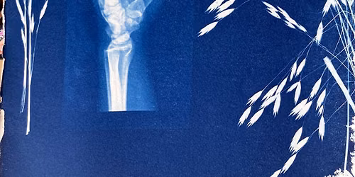 Explore Cyanotype Printing with Pamela Venz