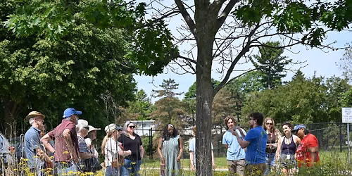 A\u00b2ZERO TREEducation Series: History of Trees in Ann Arbor