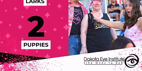 Minnesota Mud Puppies at Bismarck Larks at Bismarck Municipal Ballpark