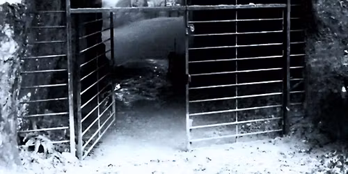 Beer Caves Ghost Hunt Seaton Devon with Haunting Nights 