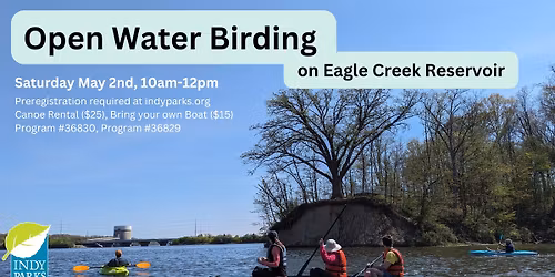 Open Water Birding - Bird Fest