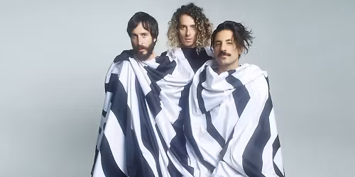 Sexy Zebras in Zaragoza