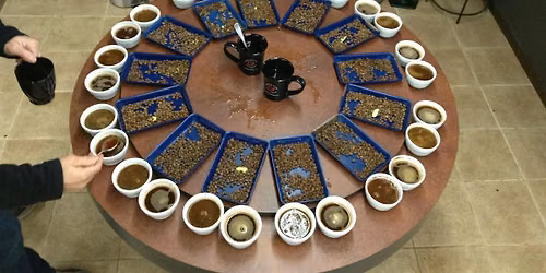Cupping: The Nuances of Coffee Flavor Profiling