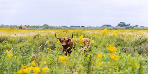 Dagtocht Eiland Tiengemeten