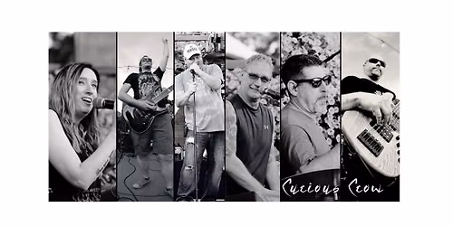 Curious Crow @ Edgewater Bar & Grill