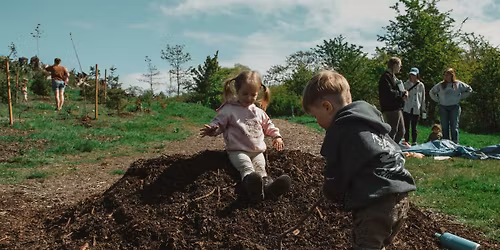 Wild Child Forest Playgroup