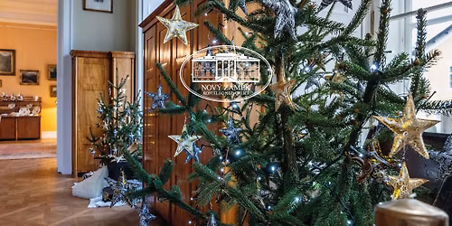 V\u00e1noce v Nov\u00e9m z\u00e1mku